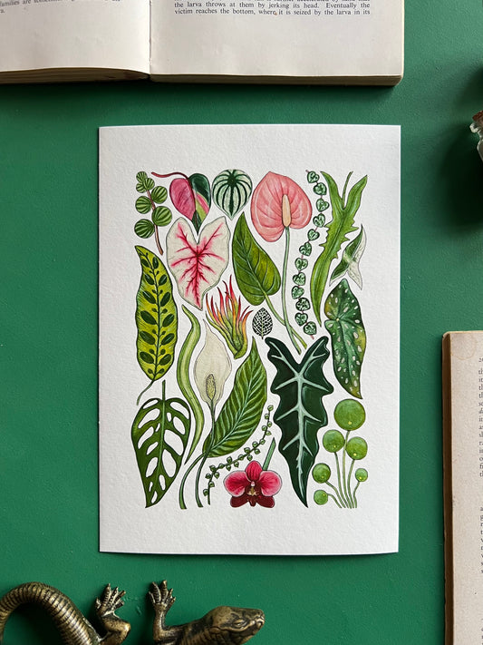 House Plants Print