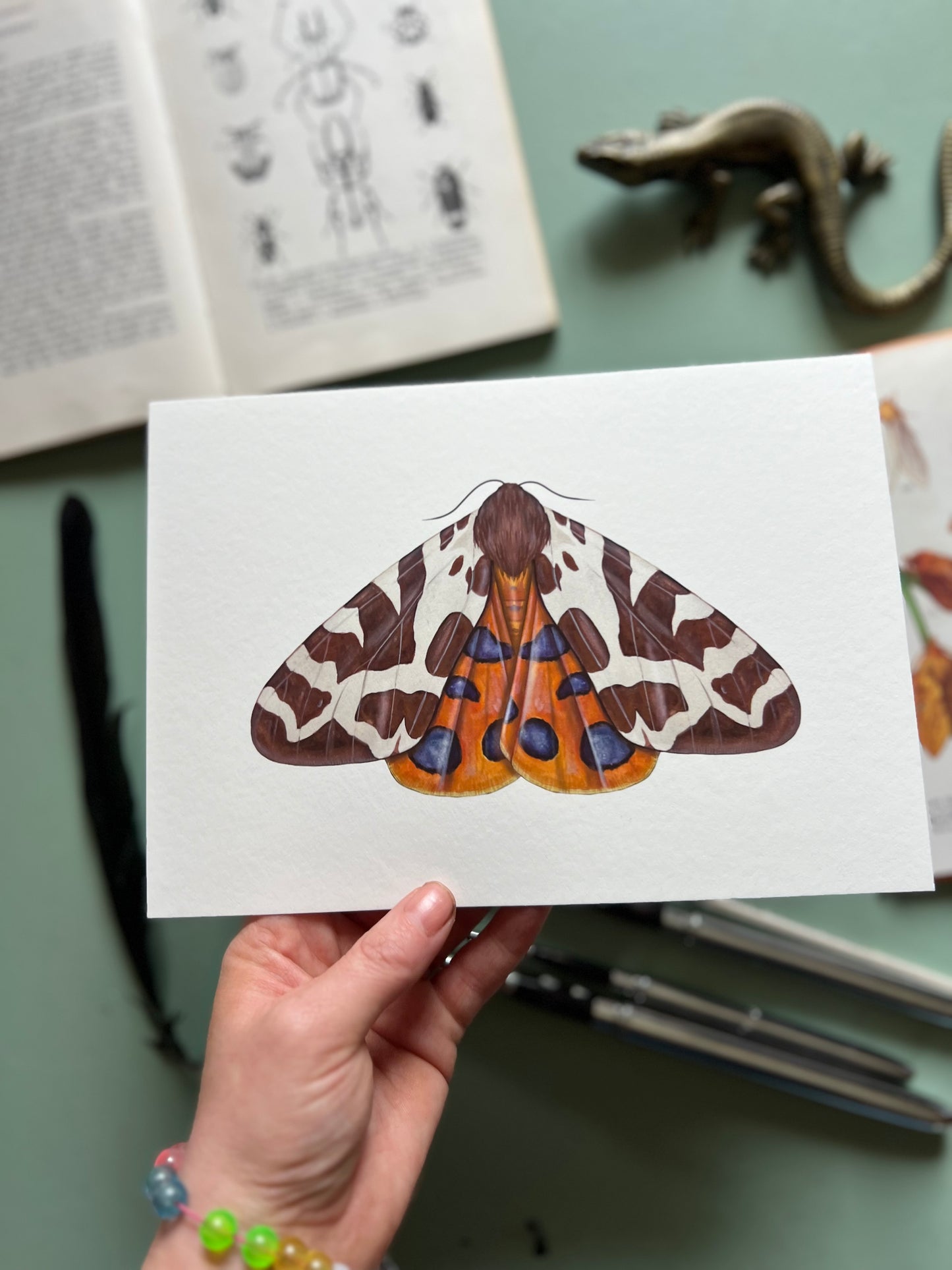 Garden Tiger Moth Print
