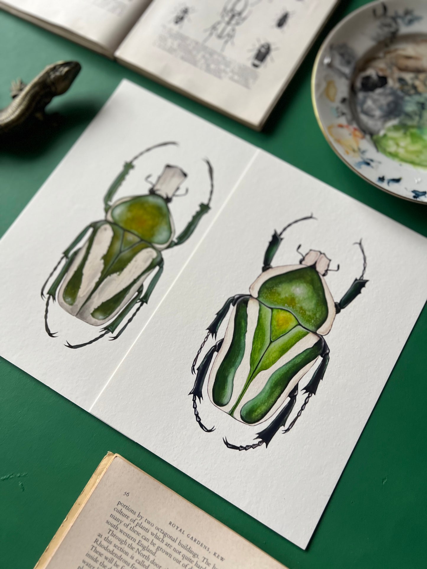 Beetle Print Set