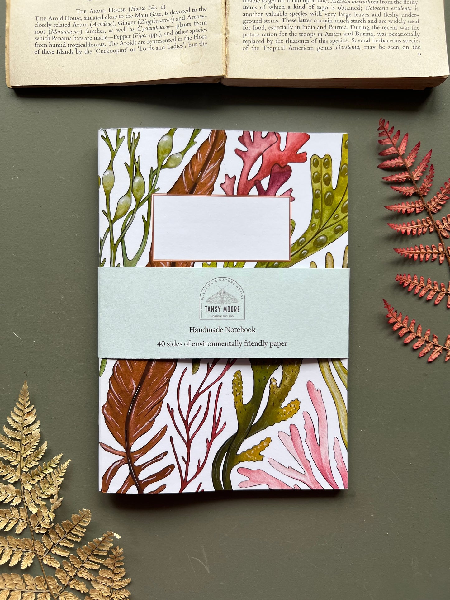 Seaweed Notebook