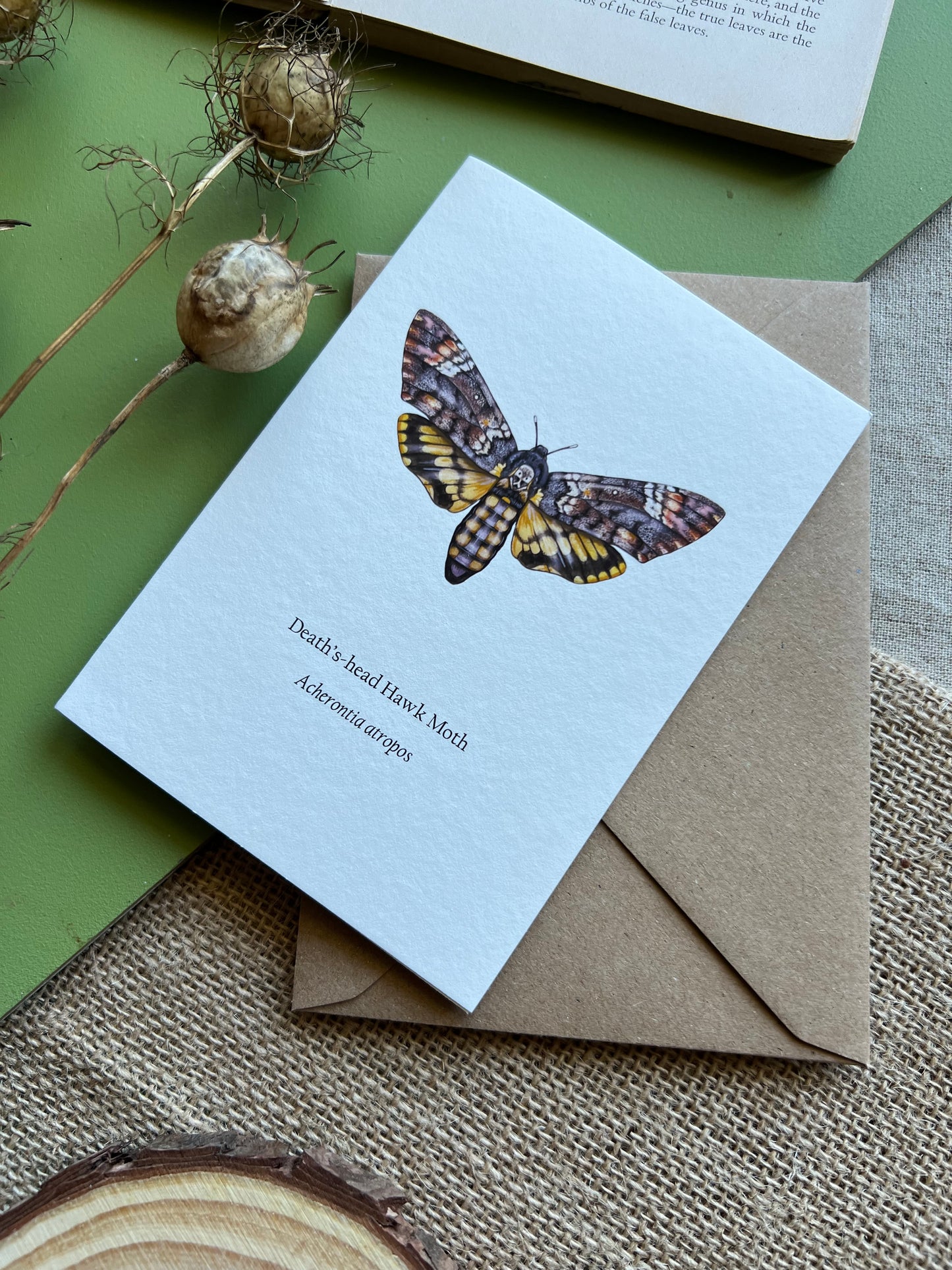 Deaths-head Hawk Moth Card