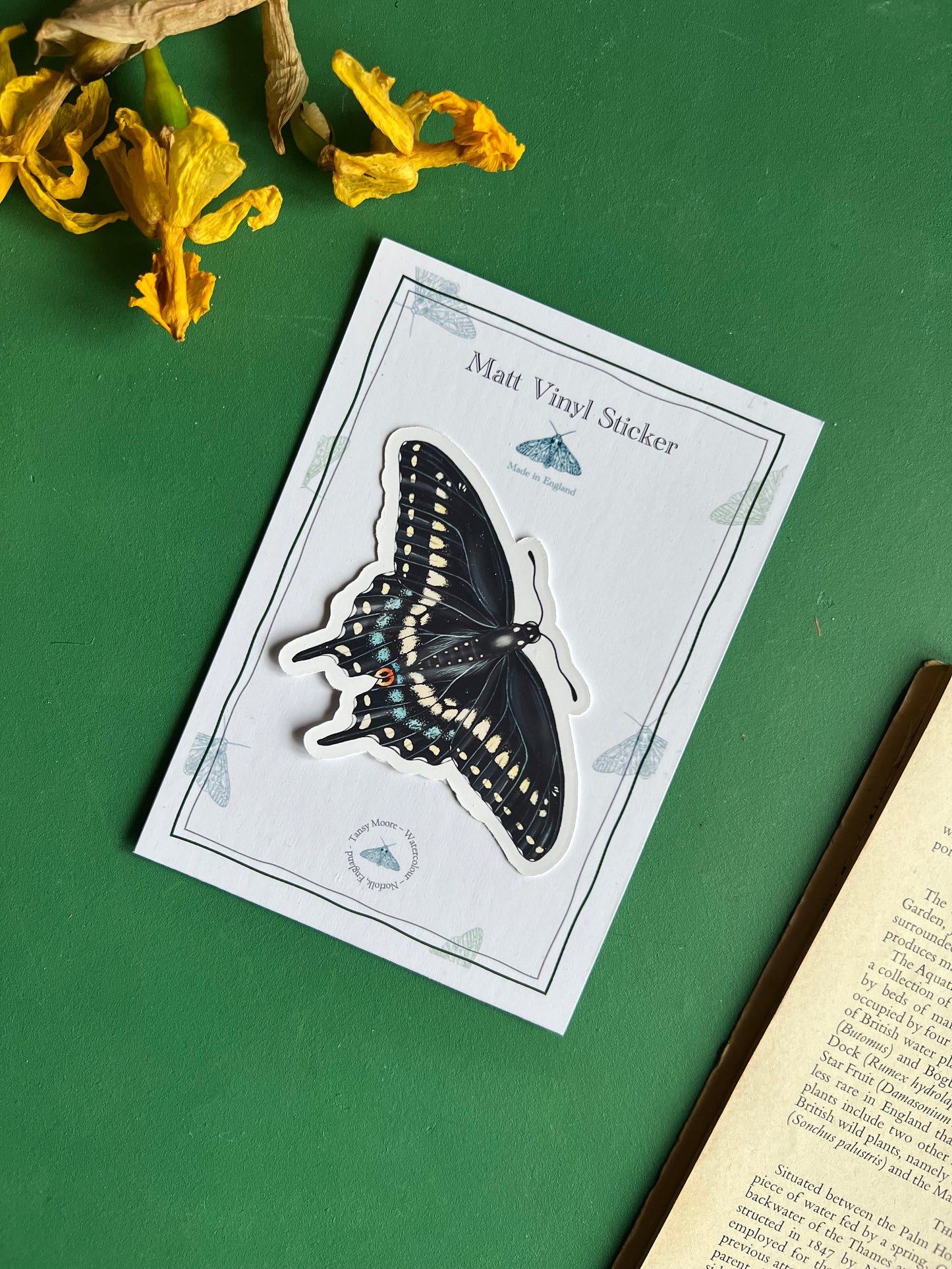 Black Swallowtail Sticker