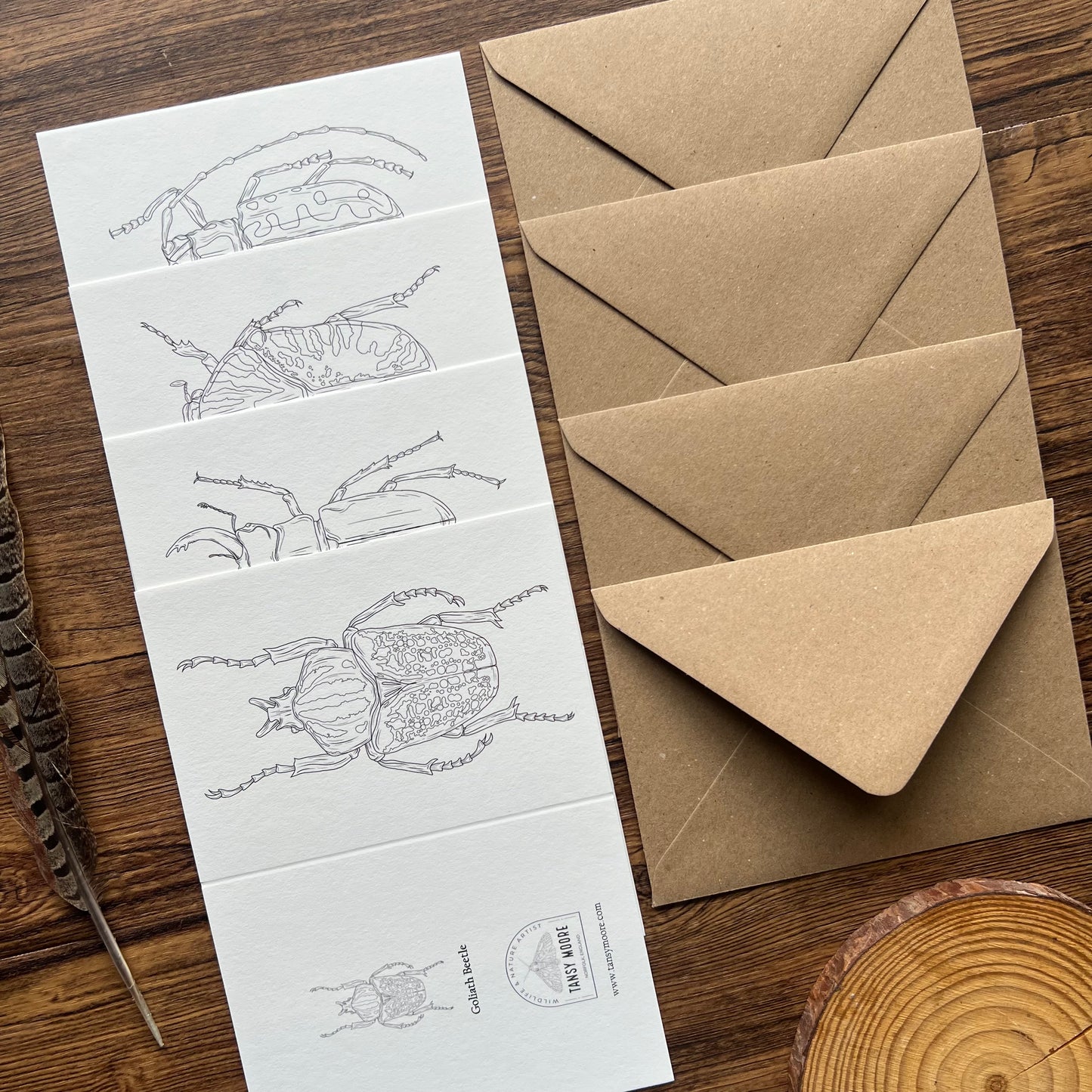 Beetle Colouring in Card Set