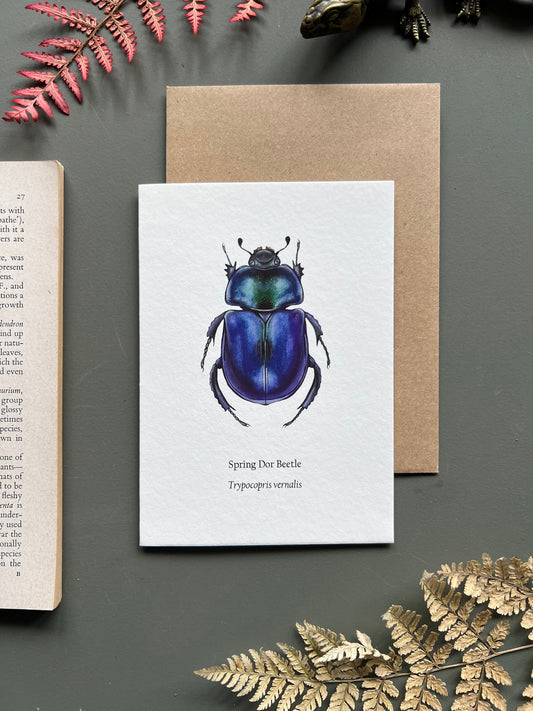 Spring Dor Beetle Card