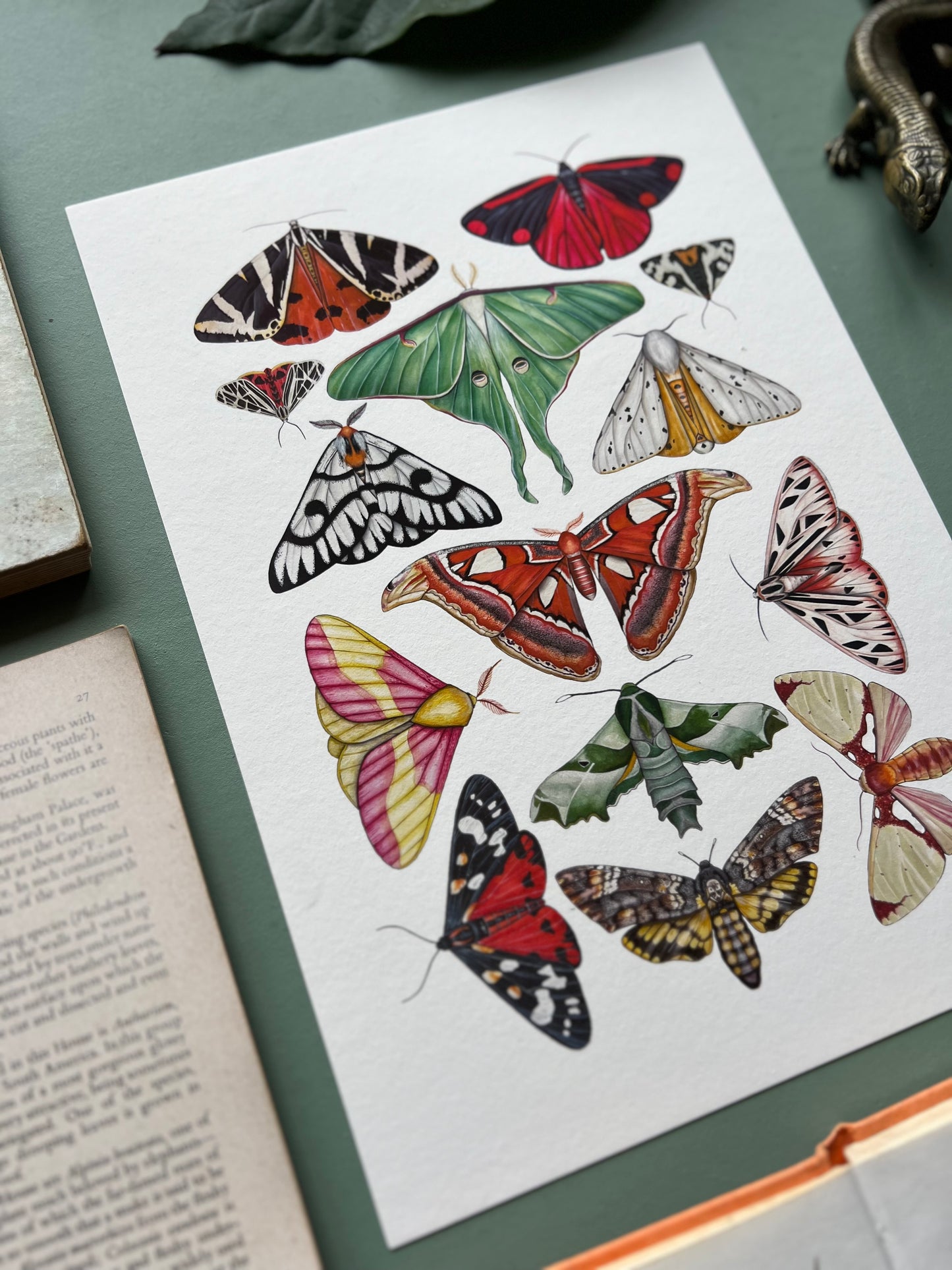 Moths Print