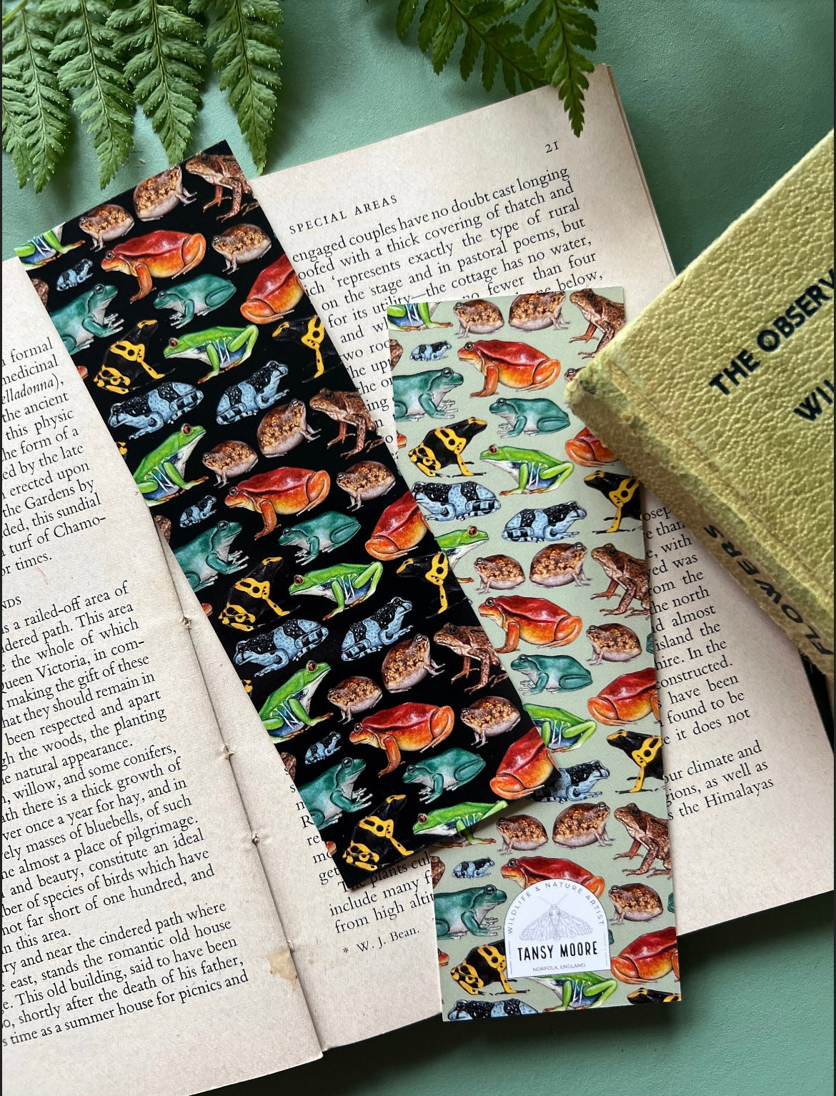 Frog Bookmark