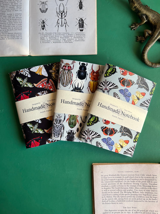 Insect Pocket Notebook Set