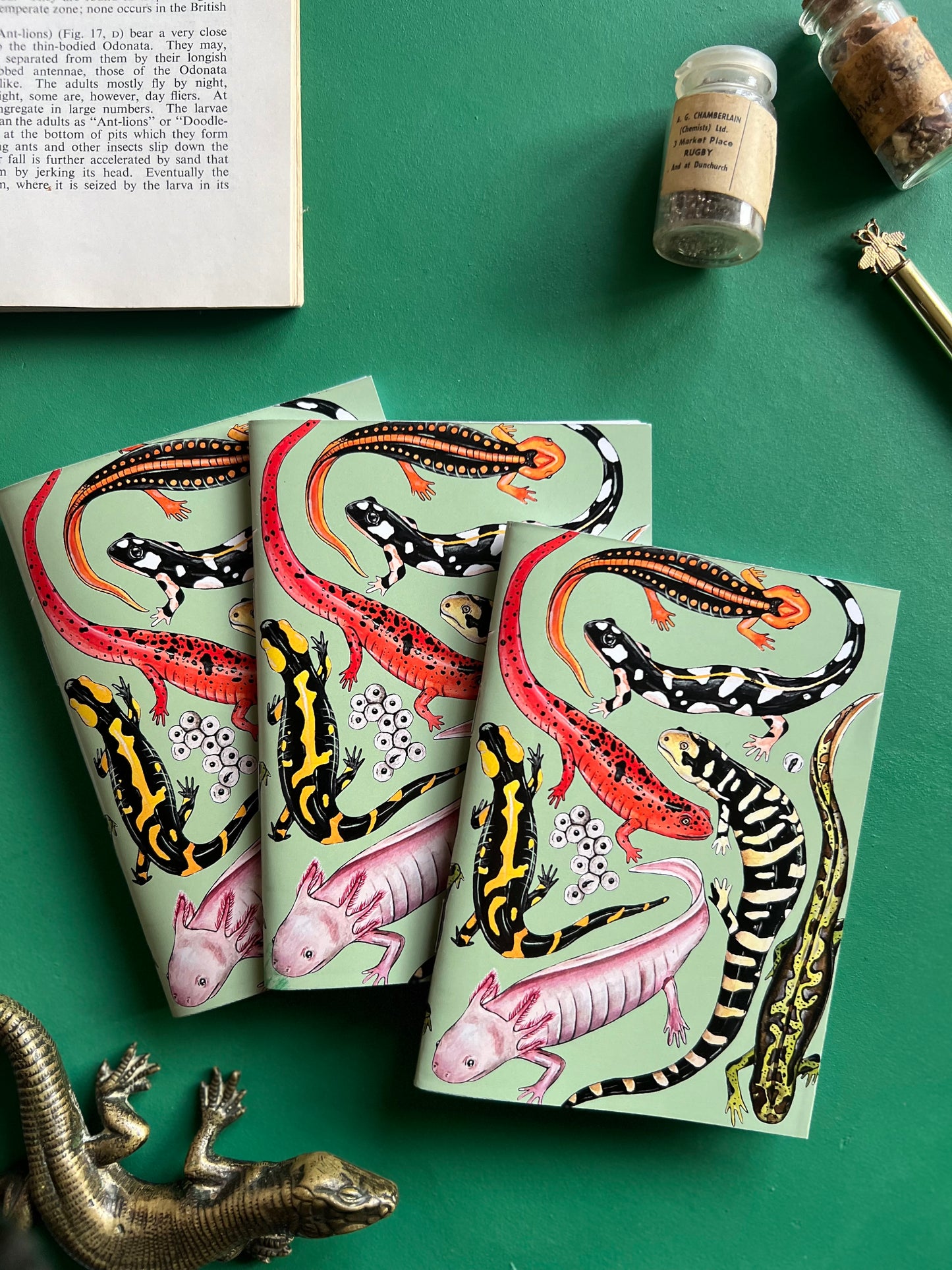 Salamander Pocket Notebook