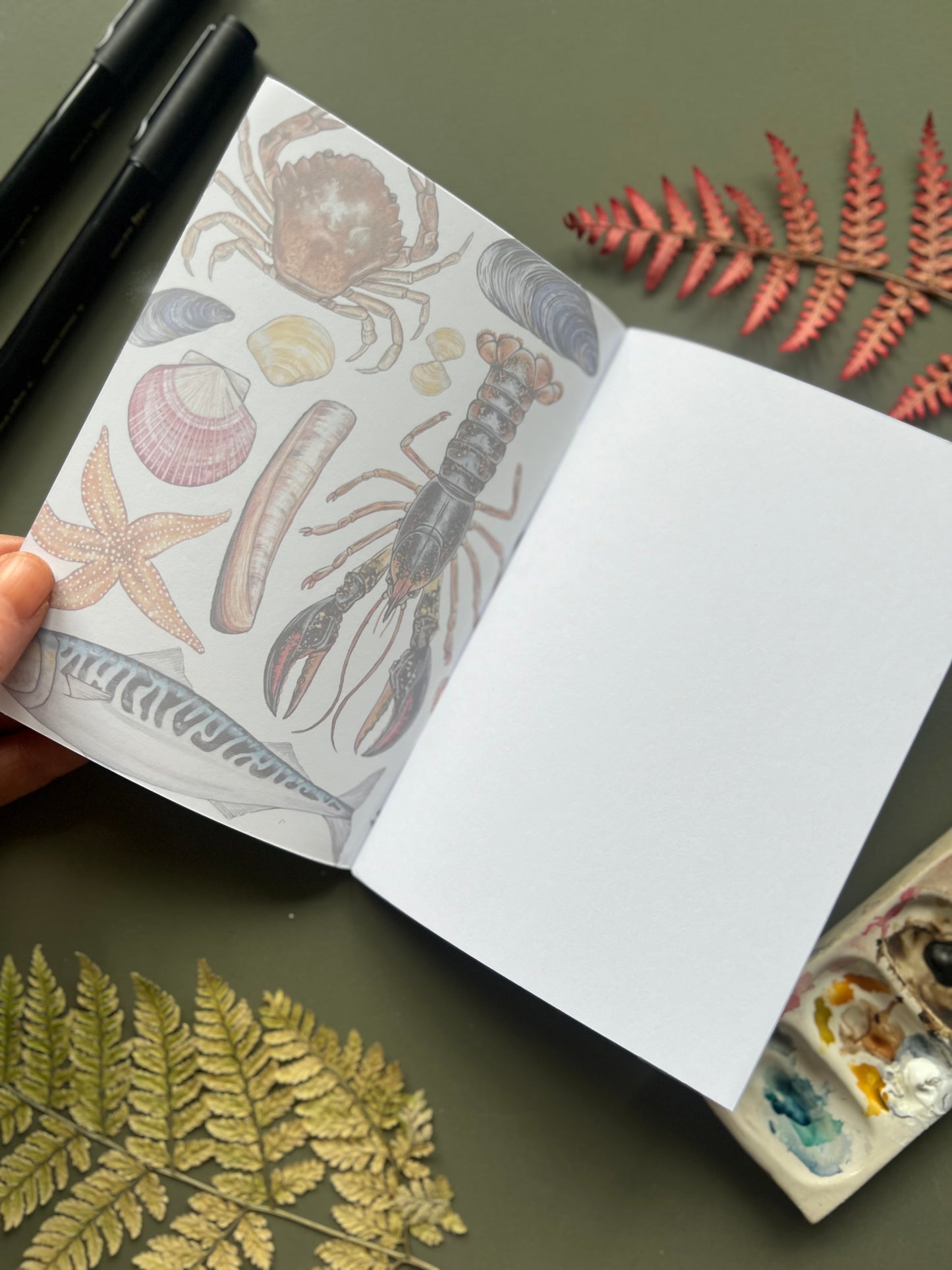 Marine Life Pocket Notebook