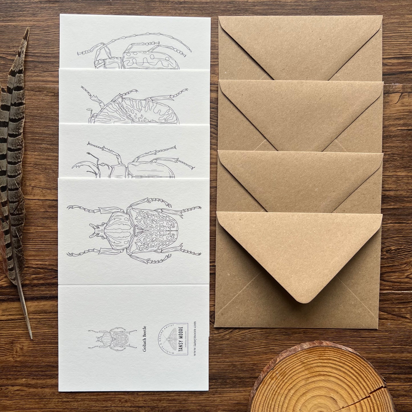 Beetle Colouring in Card Set