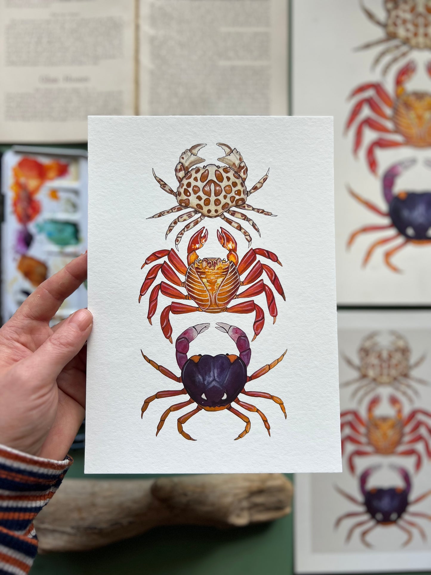 Crabs Print, Marine life