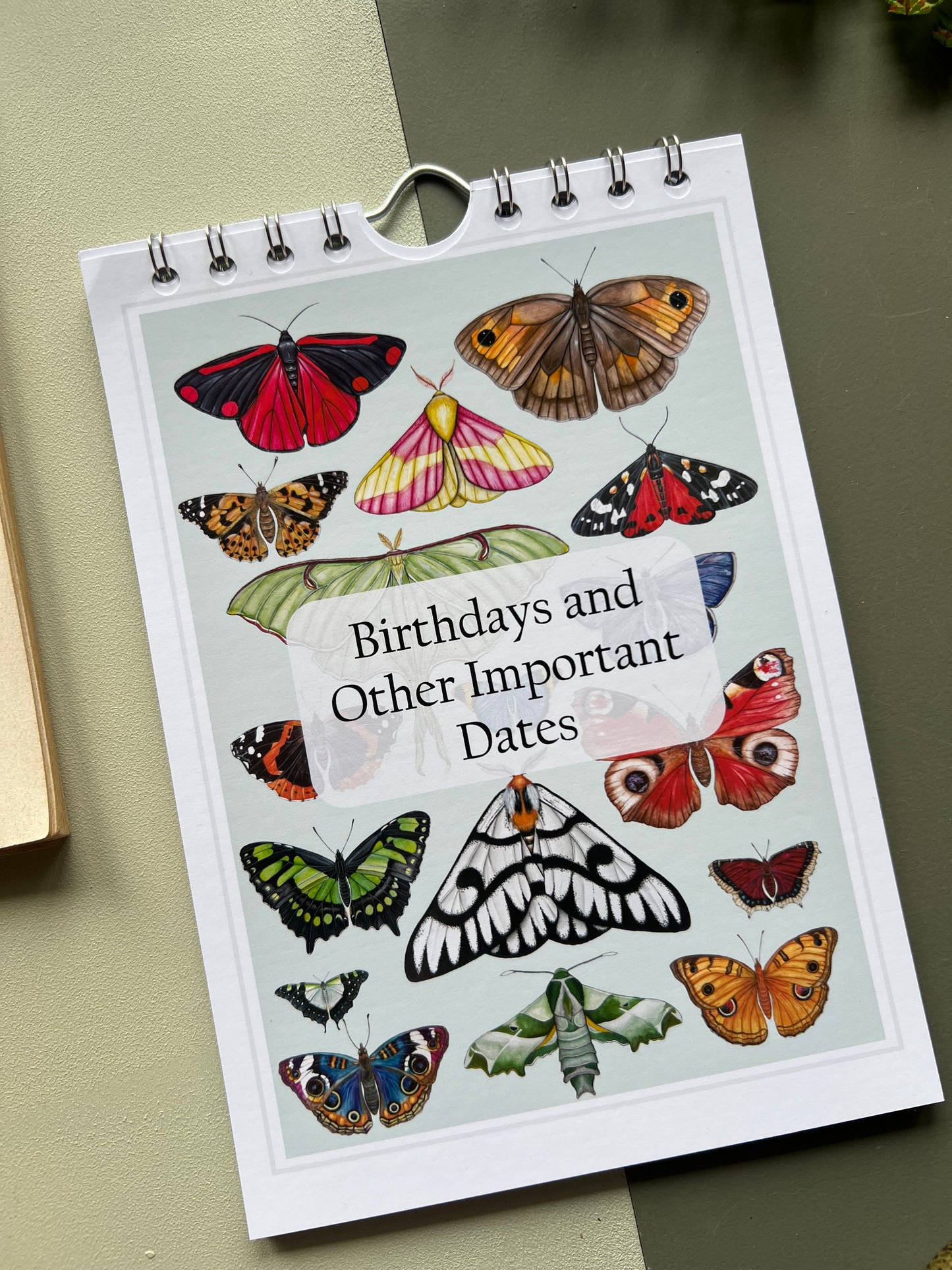 Butterfly and Moth Birthday and Other Important Dates Calendar, Perpetual Calendar