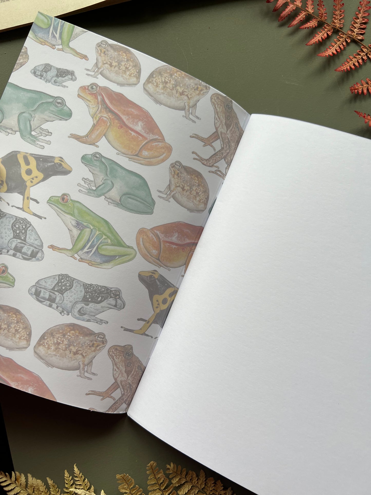 Frog Notebook