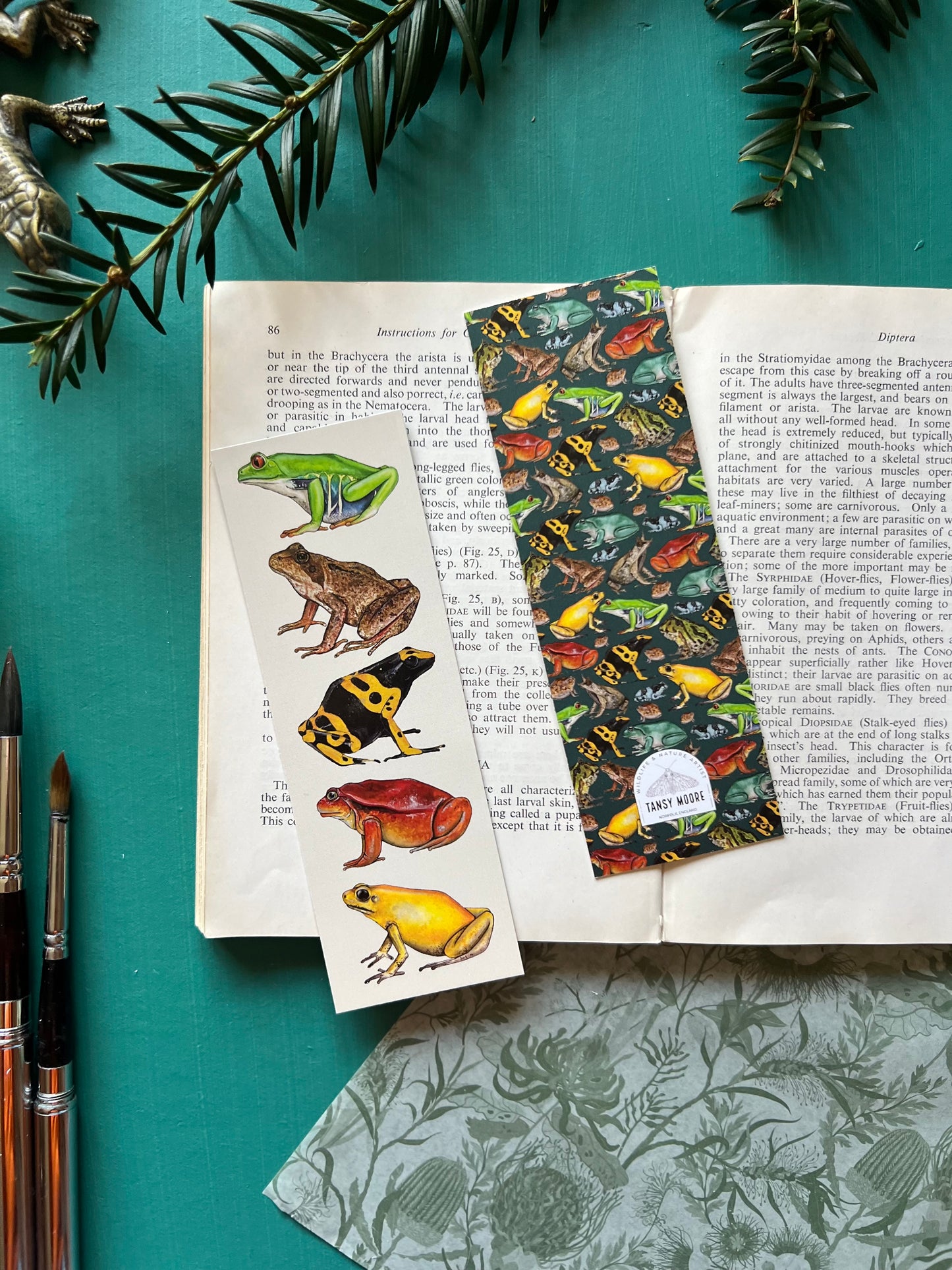 Frog Bookmark