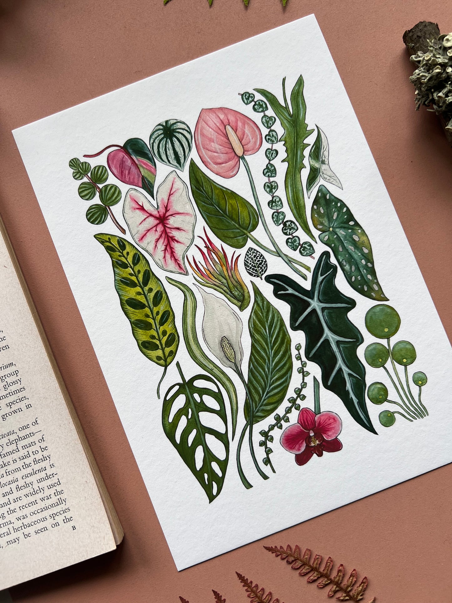 House Plants Print