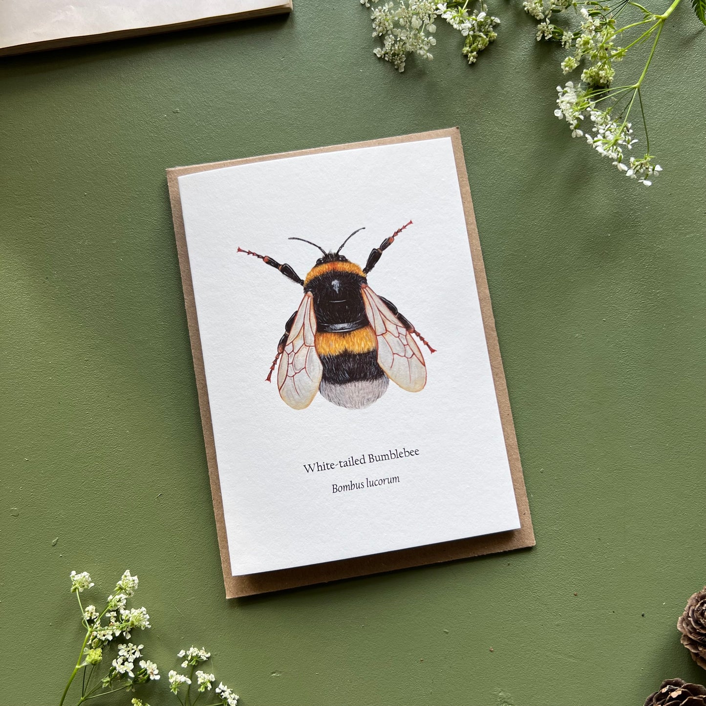 White tailed Bumblebee Card