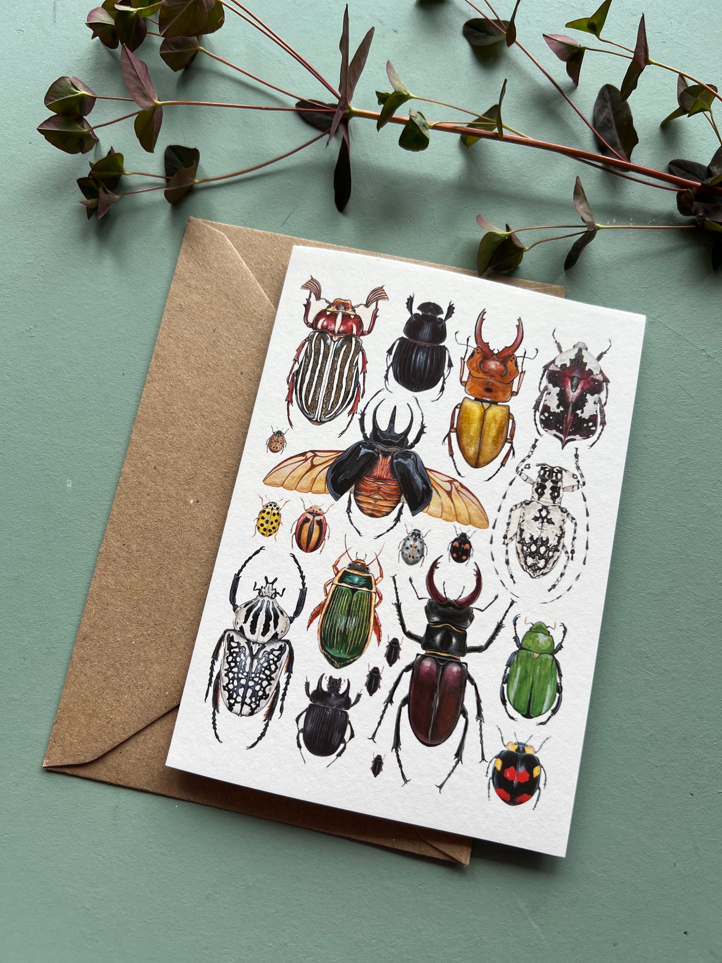 Beetles Card