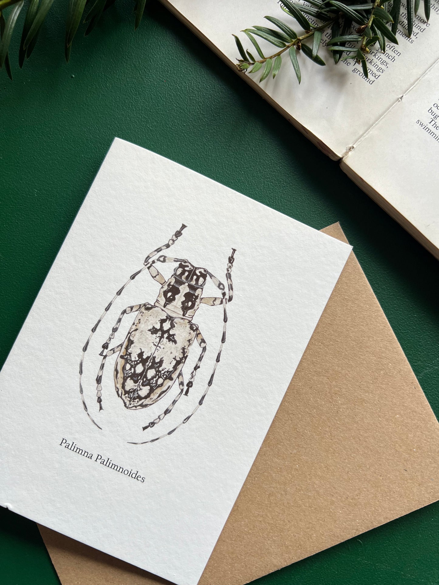 Longhorn Beetle card