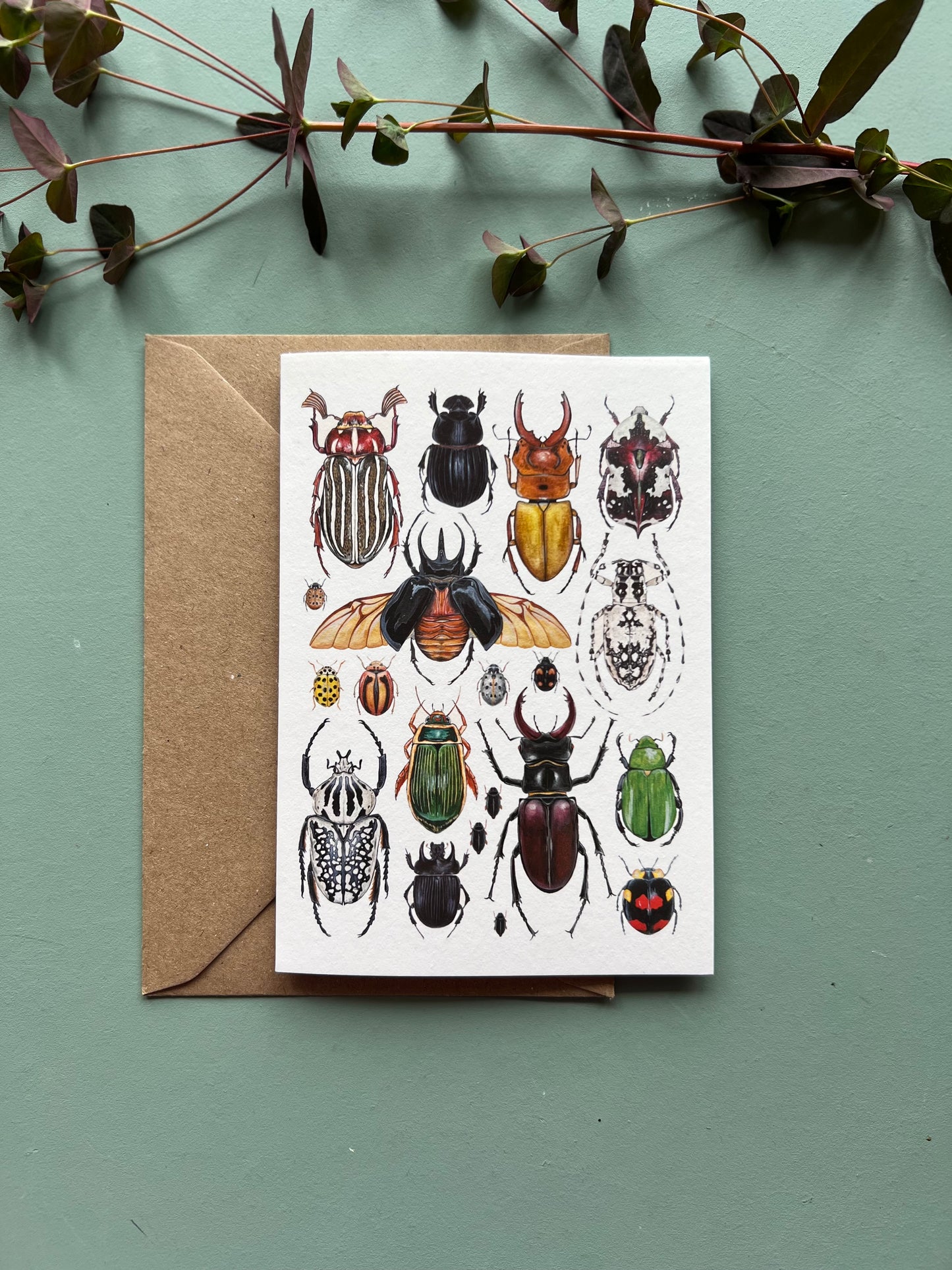 Beetles Card