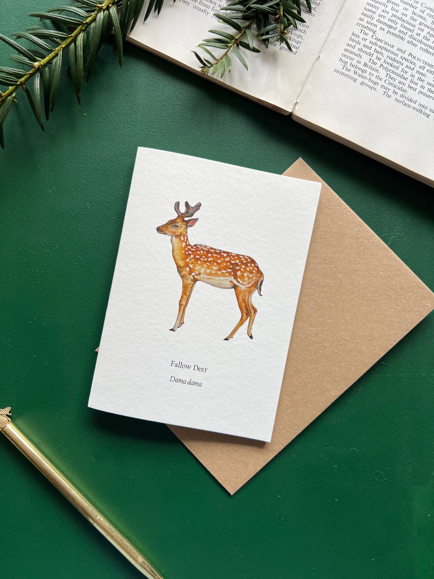 Fallow Deer Card