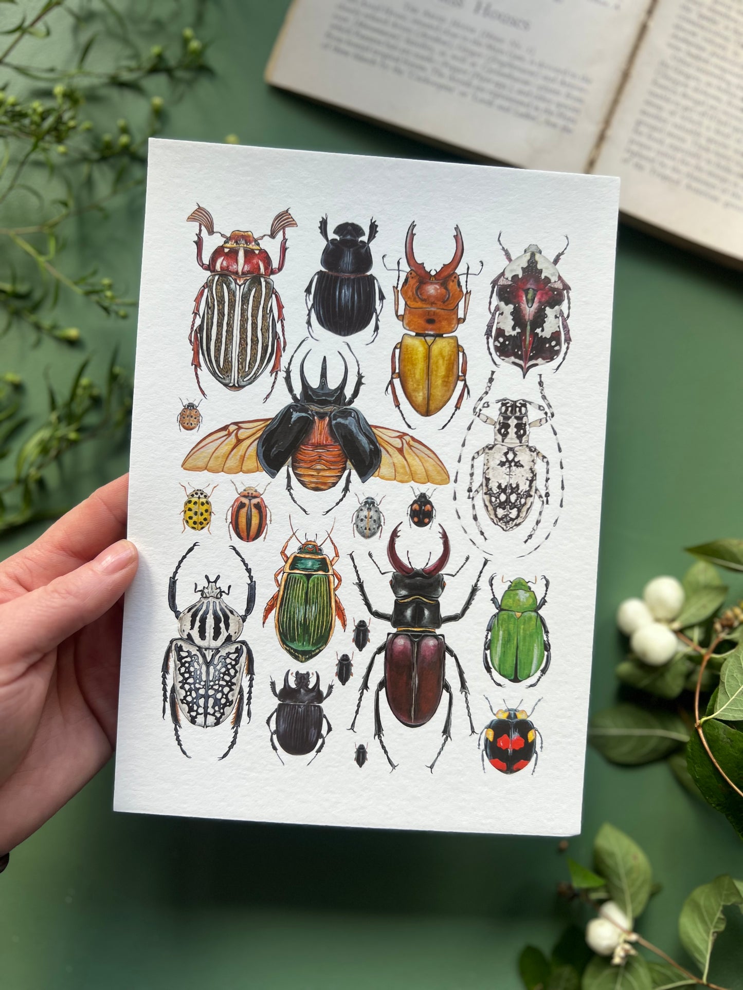 Beetles Print