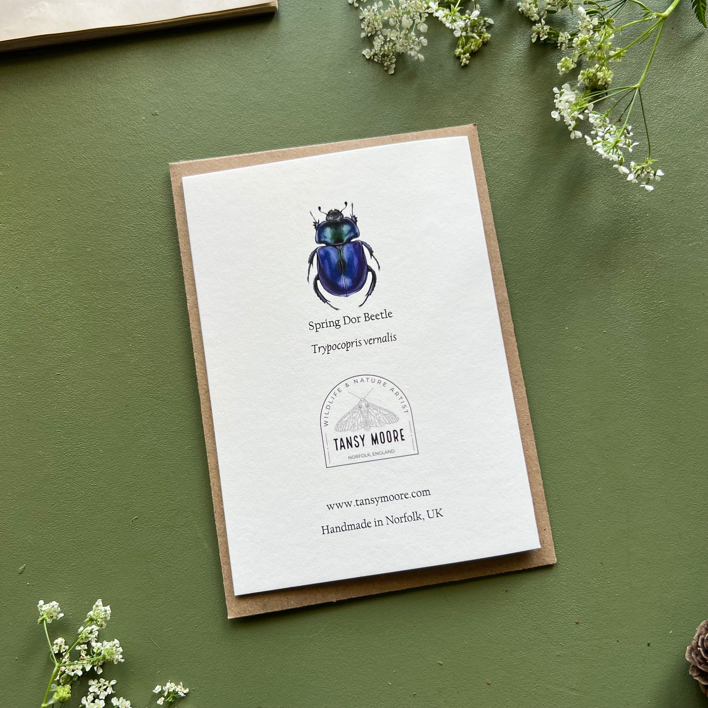 Spring Dor Beetle Card