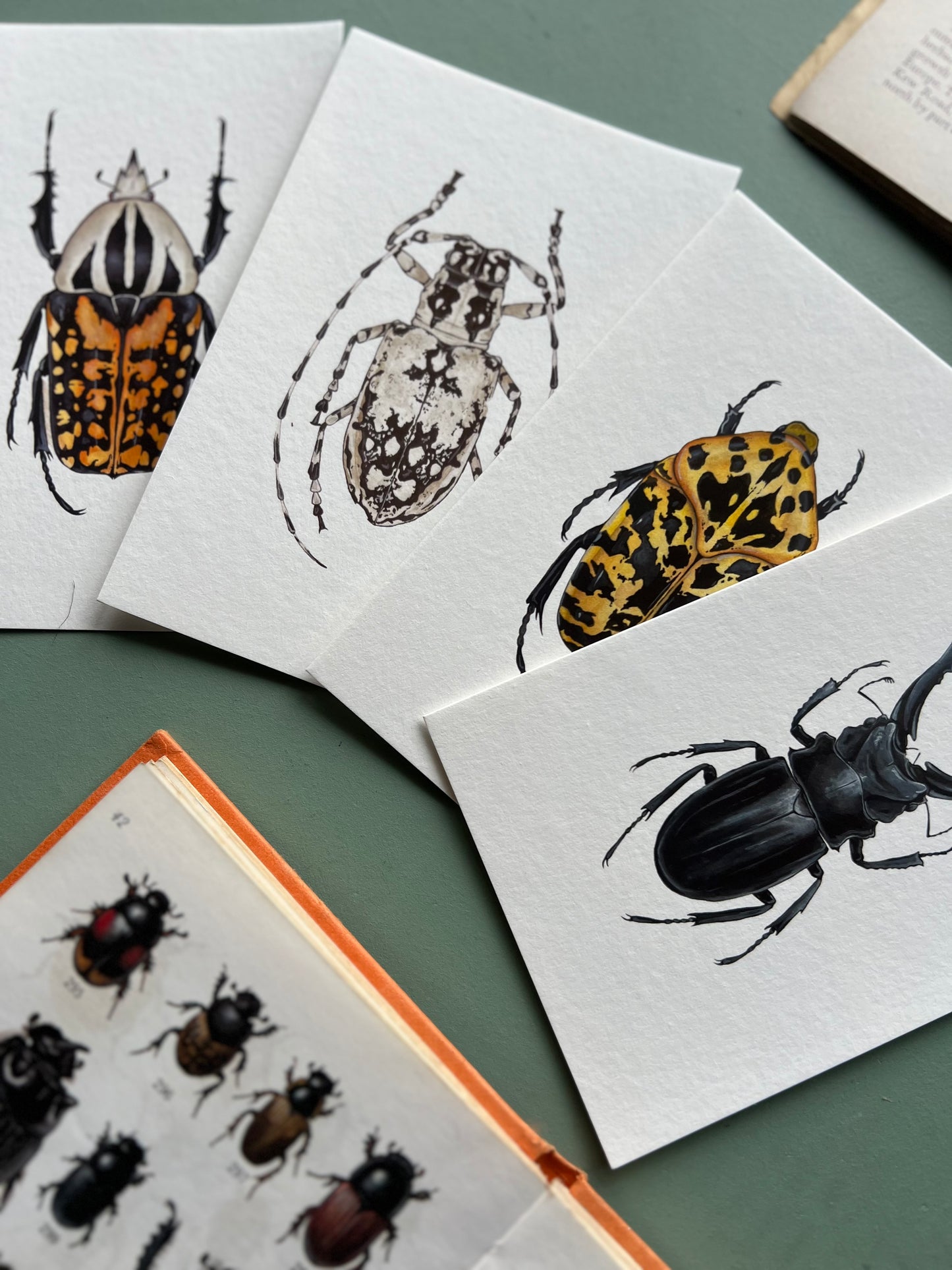 Beetle Print Set