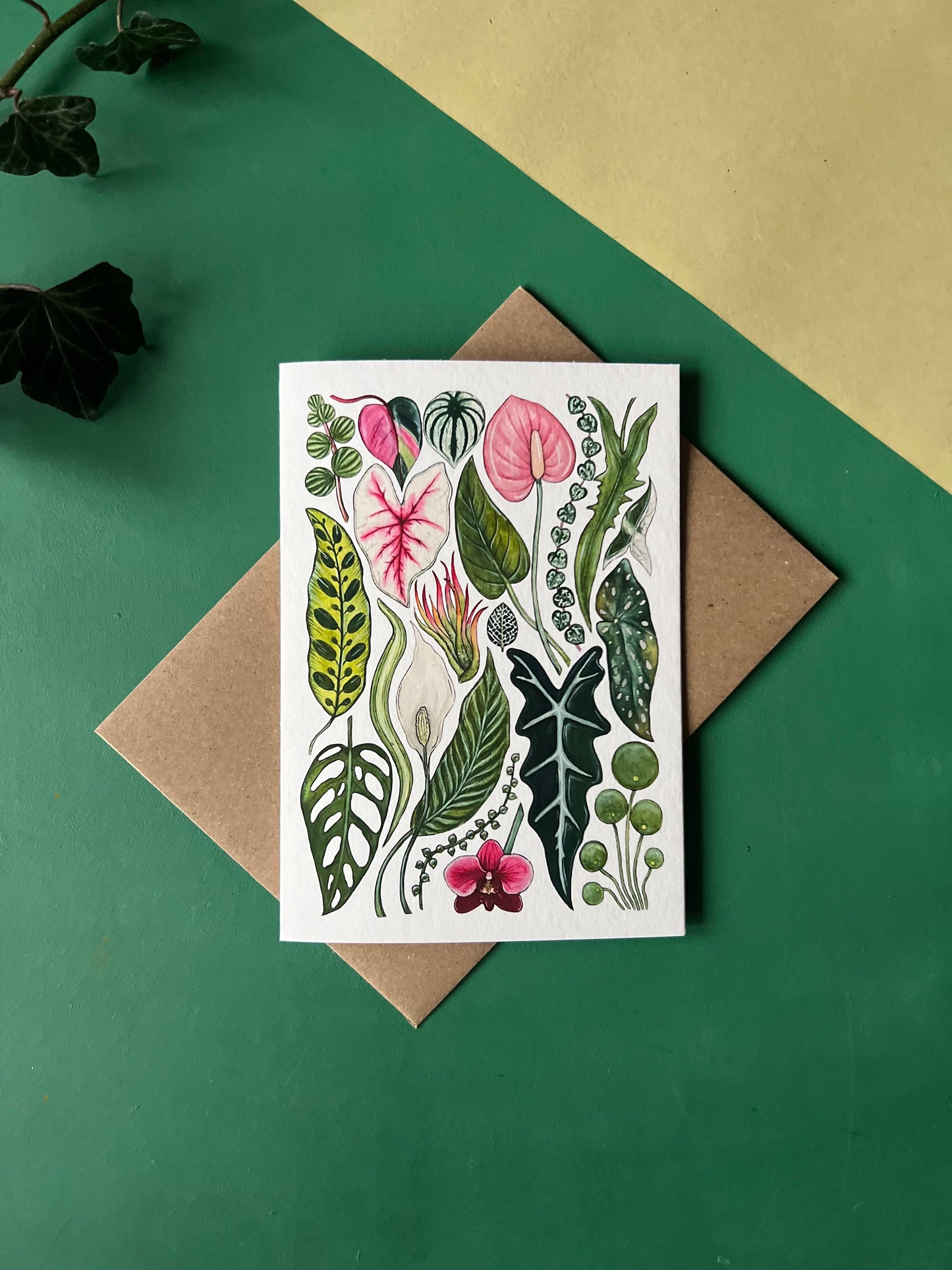 House Plants Card