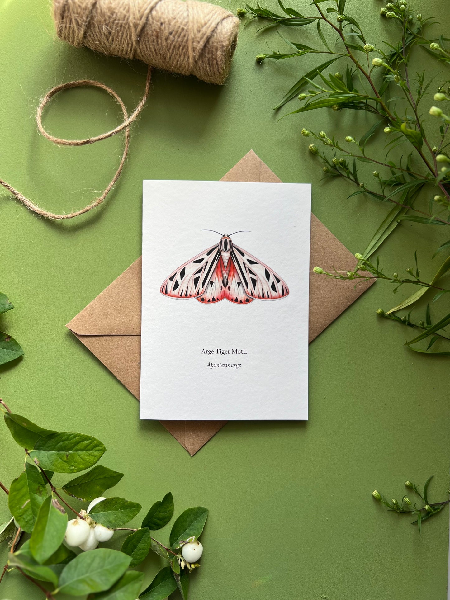 Arge Tiger Moth Card