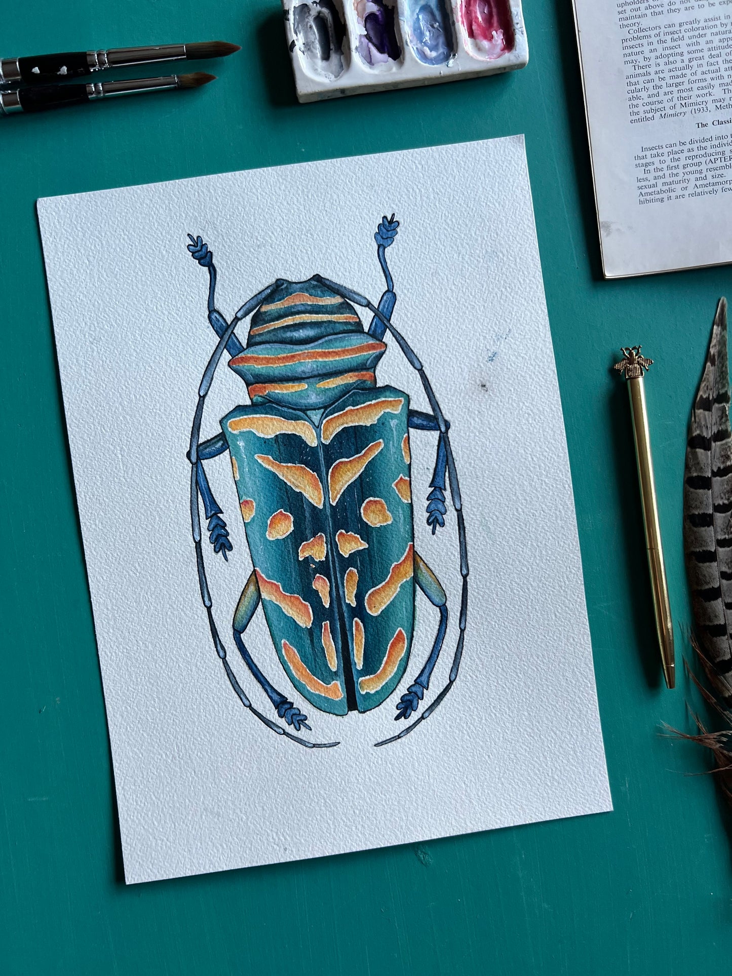 Jewel Longhorn Beetle