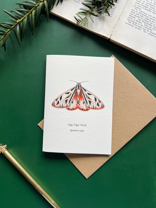 Arge Tiger Moth Card