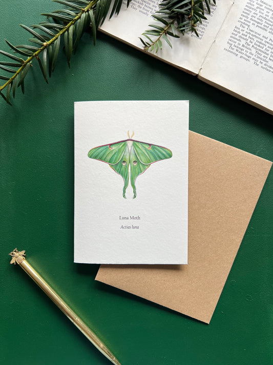 Luna Moth Card