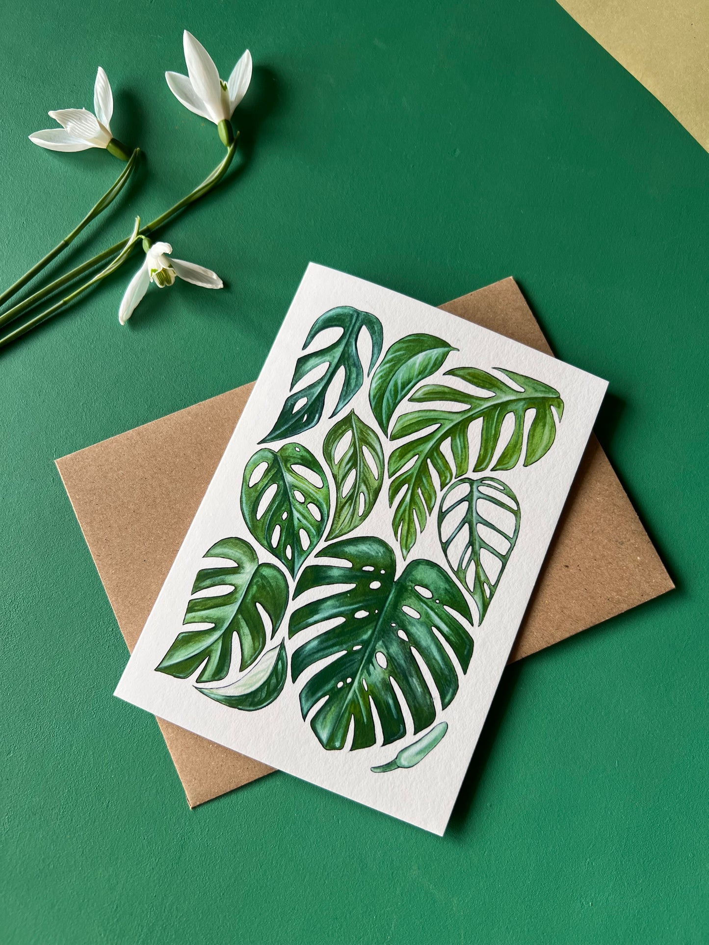 Monstera Card