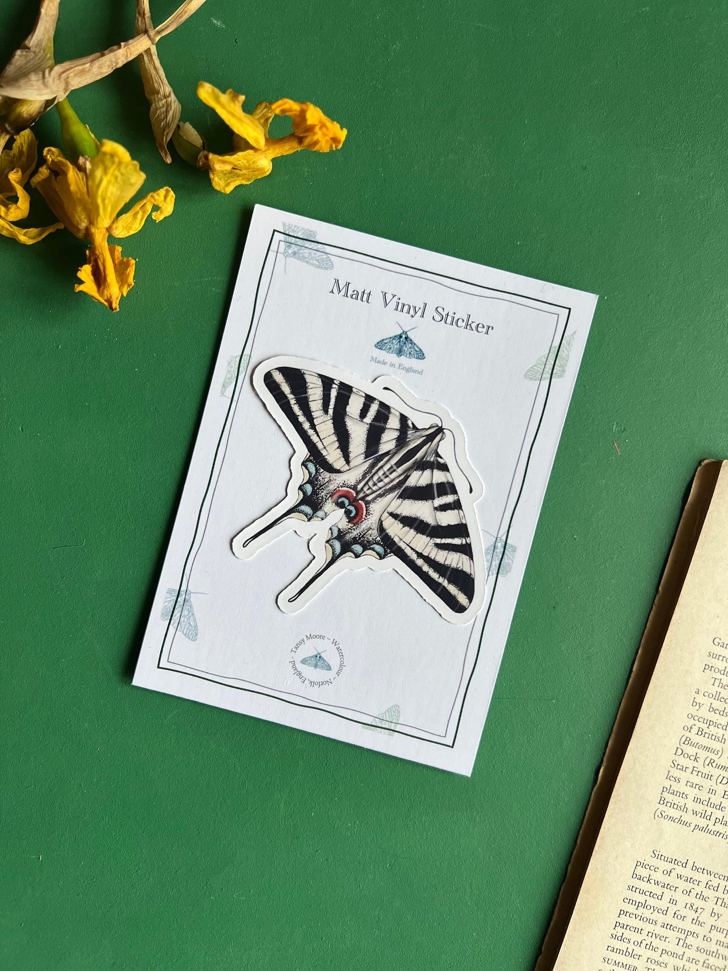 Scarce Swallowtail Sticker