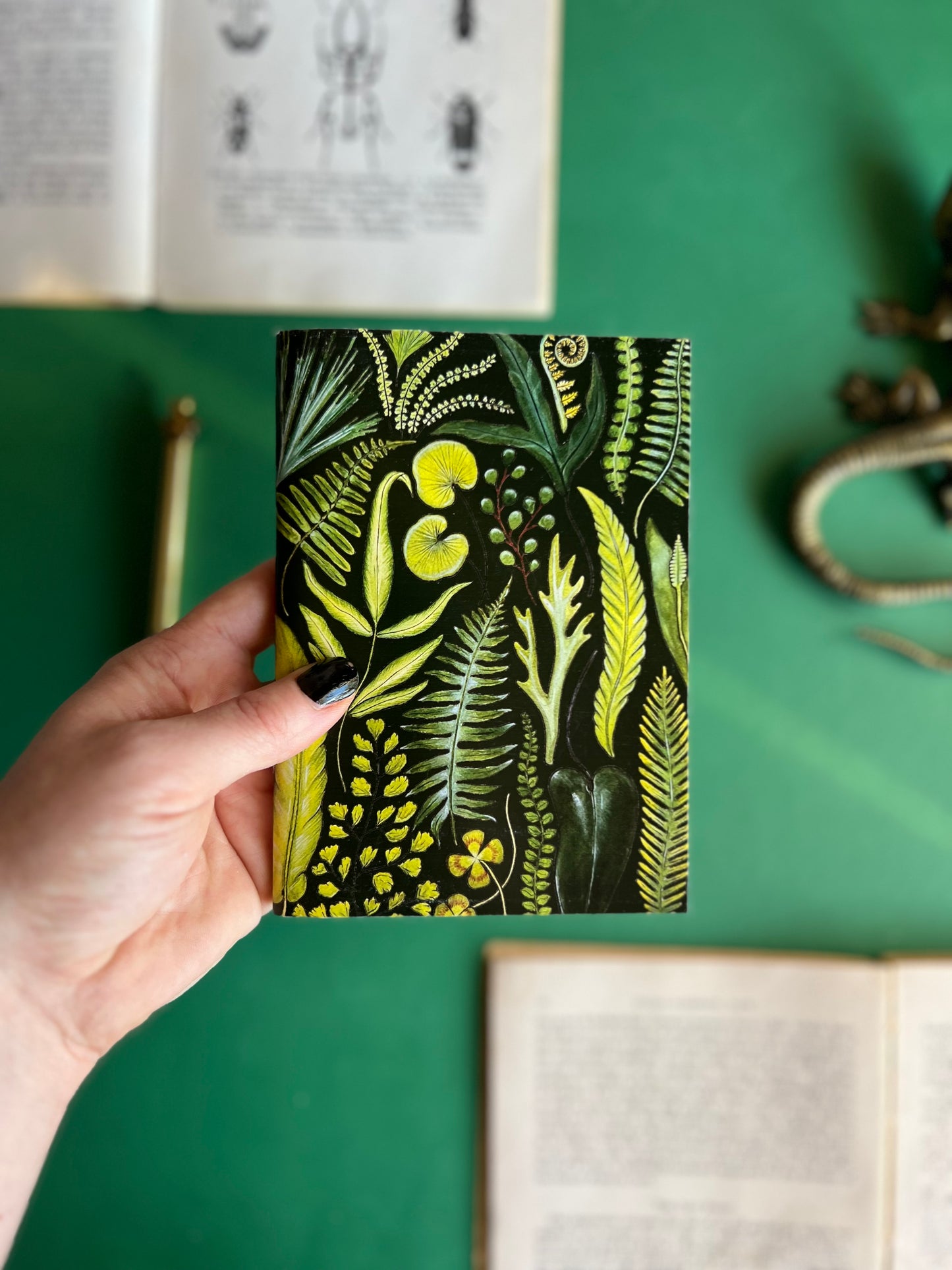 Ferns Pocket Notebook