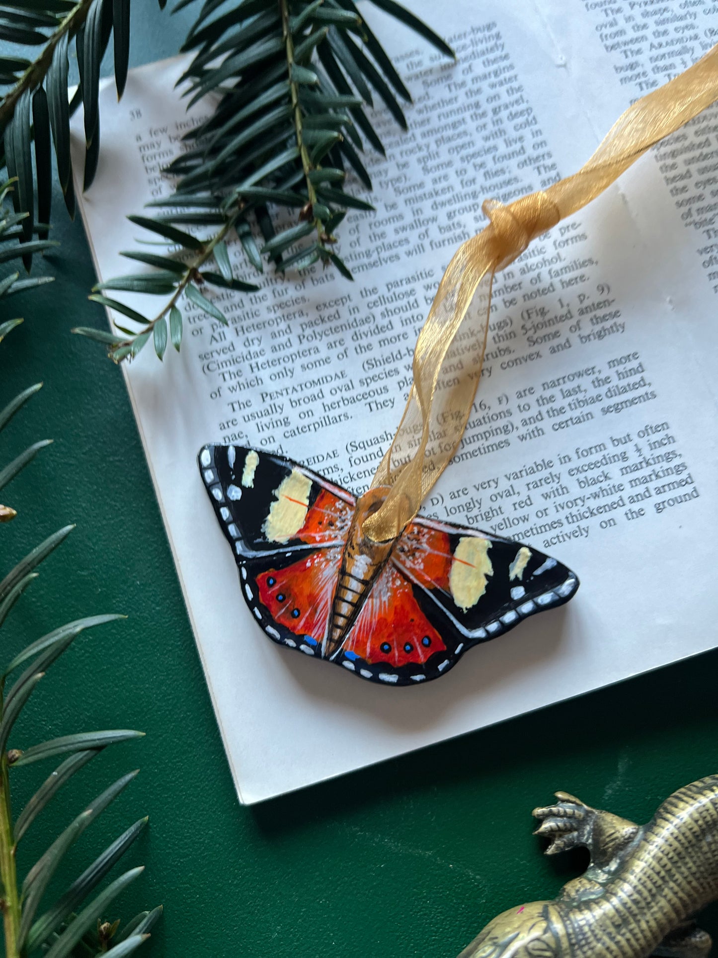 Australian Admiral / Yellow Admiral