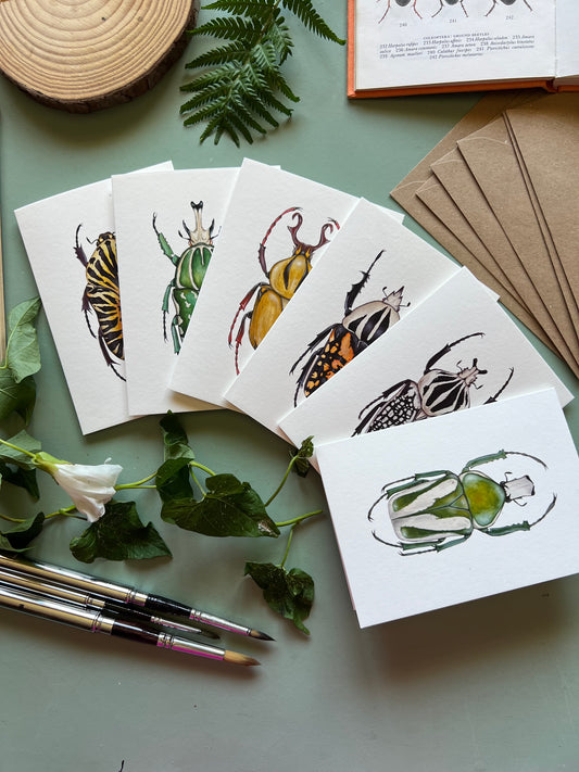 Beetles Set