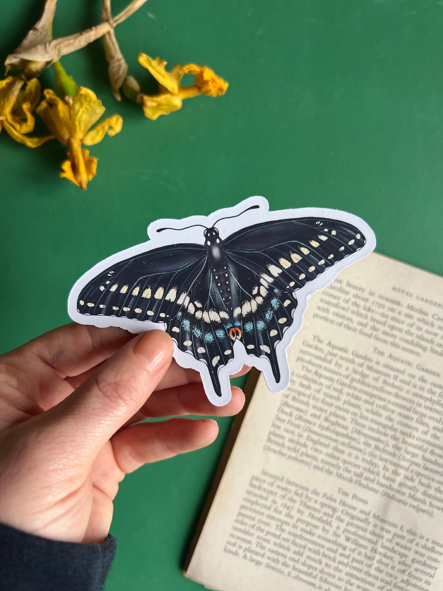 Black Swallowtail Sticker