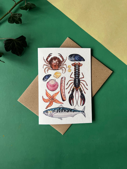 Marine Life Card