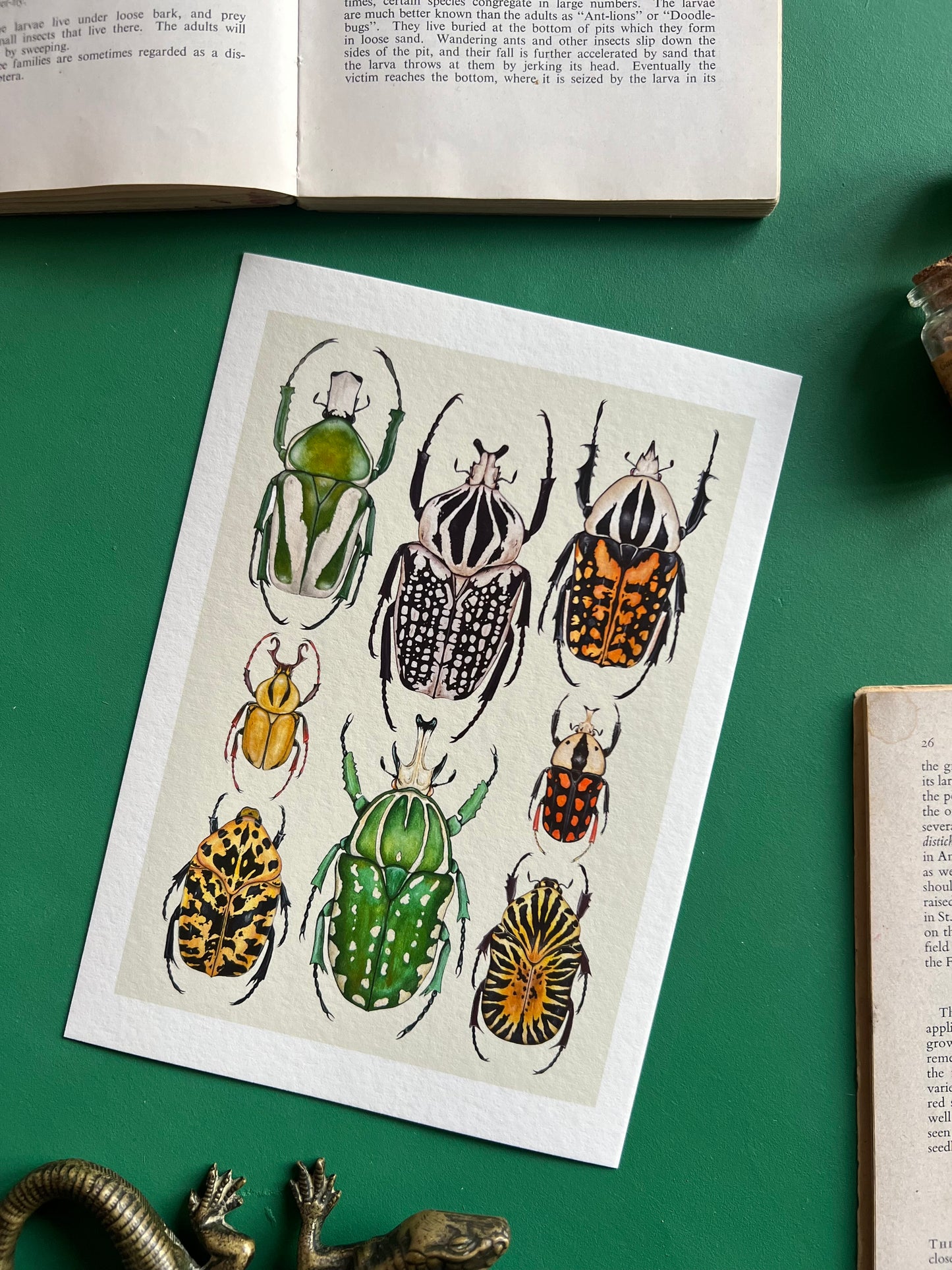 Beetles Print