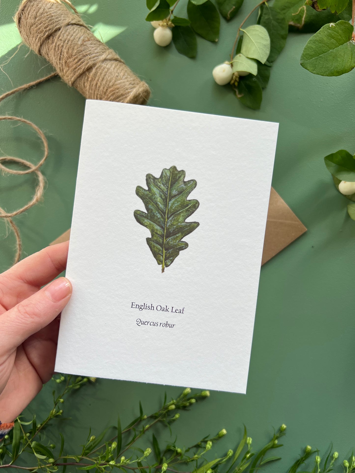 English Oak Card