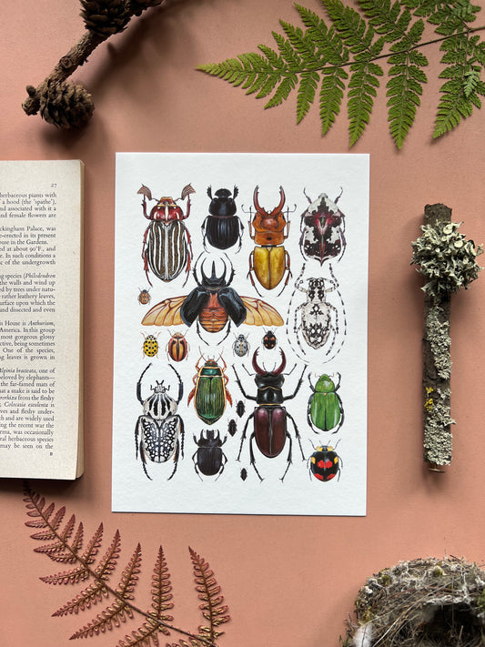 Beetles Print