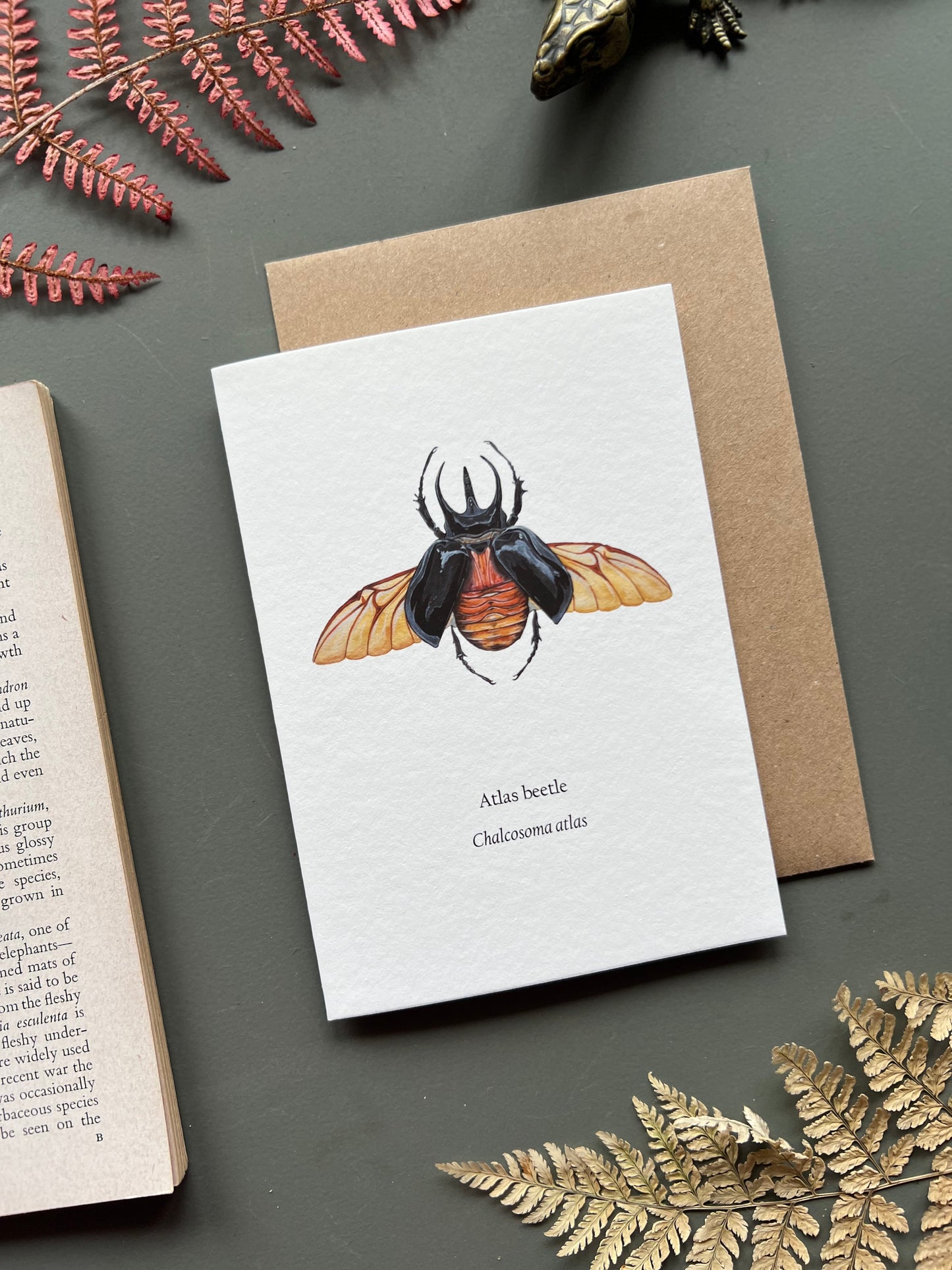 Atlas Beetle Card