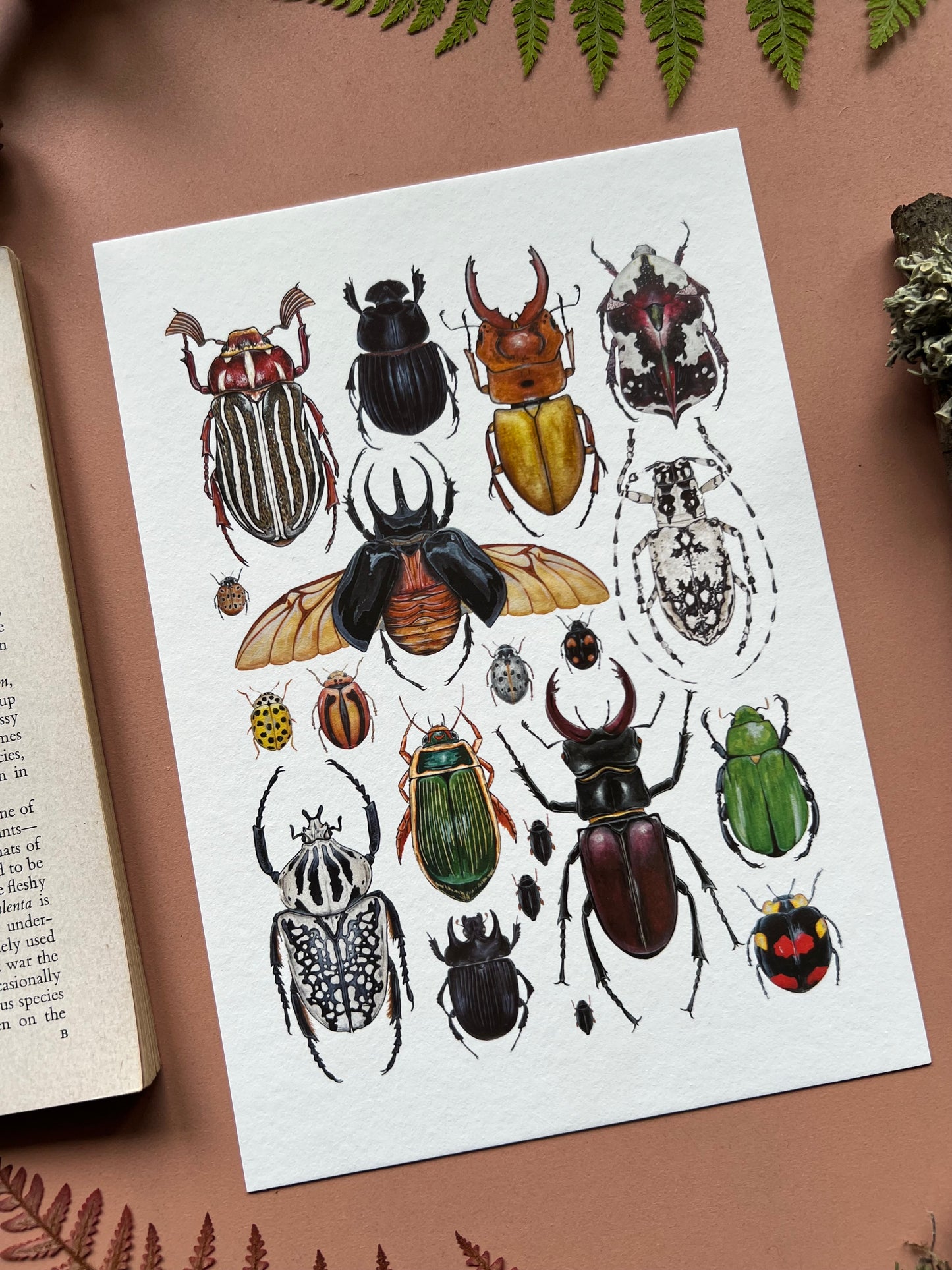 Beetles Print