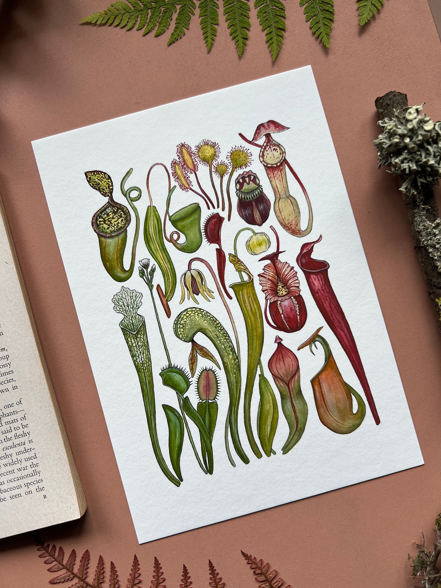 Carnivorous Plants Print