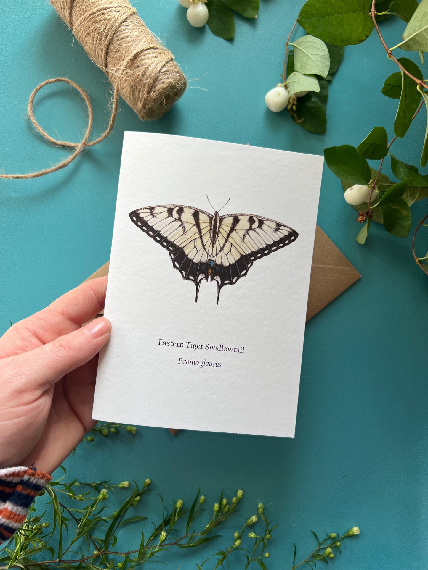 Eastern Tiger Swallowtail Card