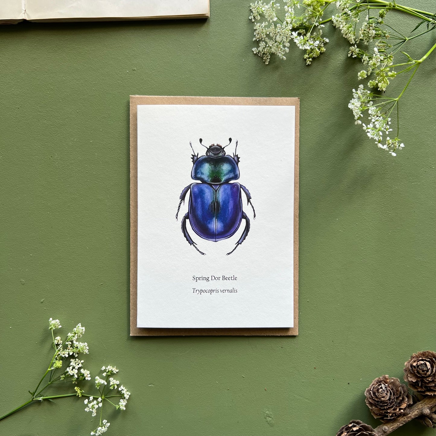 Spring Dor Beetle Card