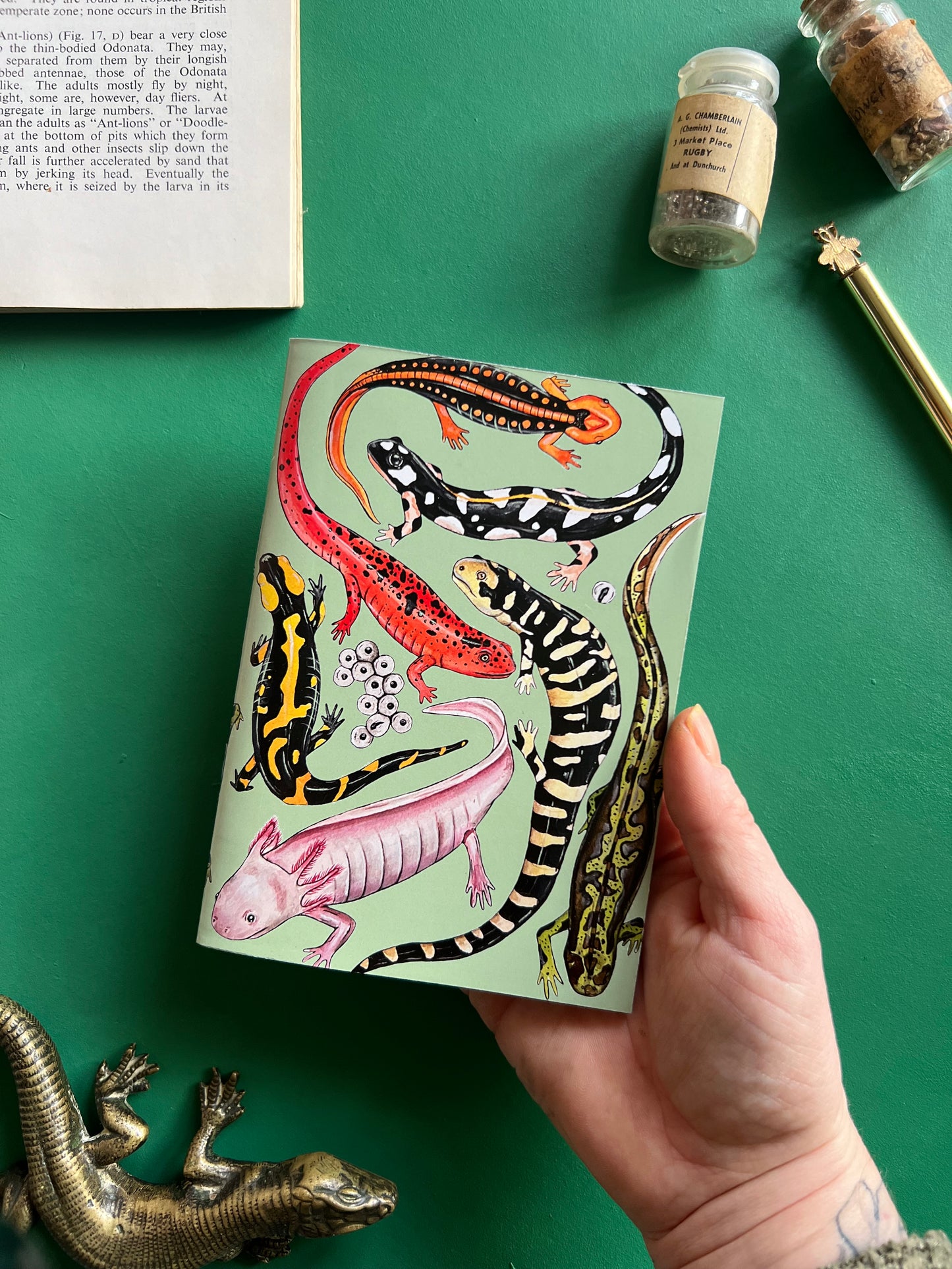 Salamander Pocket Notebook
