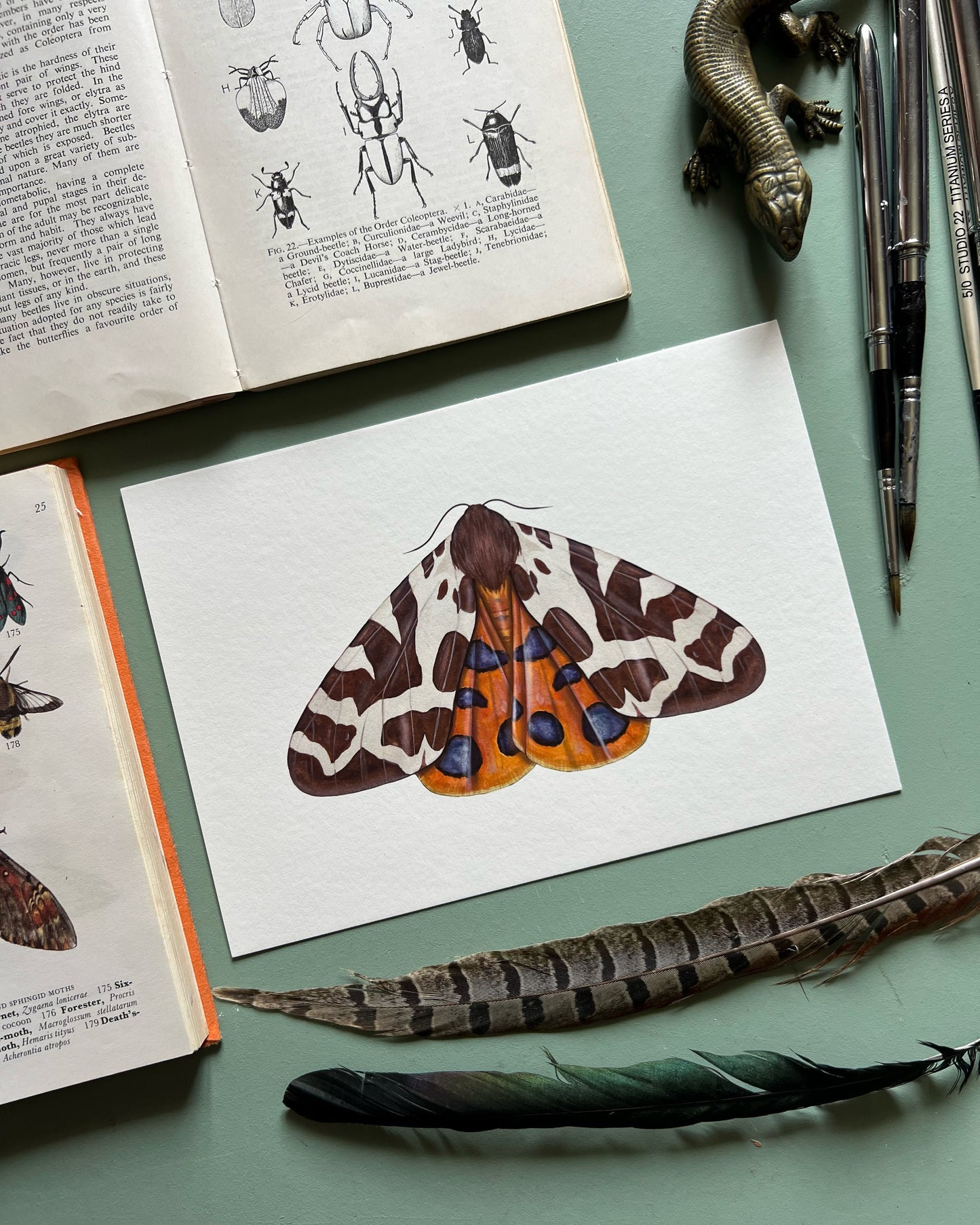 Garden Tiger Moth Print