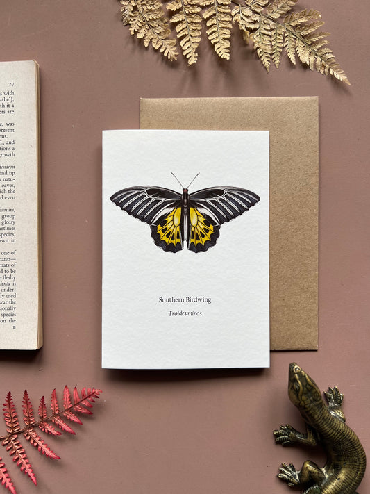 Southern Birdwing Card